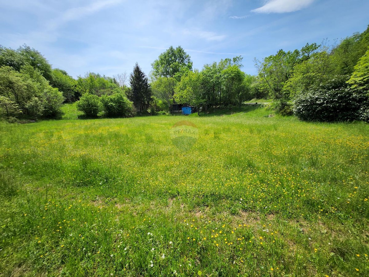 Terreno non edificabile Gambetići, Višnjan, 40.350m2