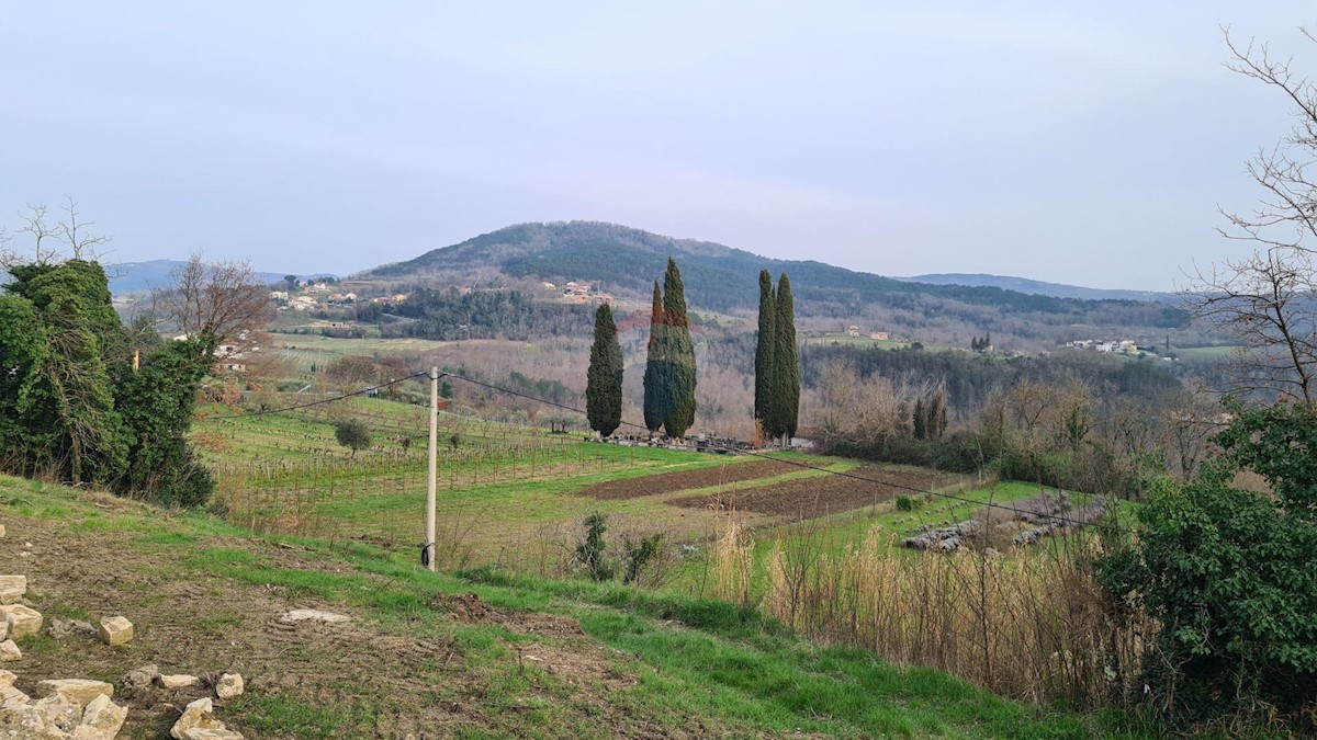 Terreno edificabile Motovun, 1.380m2