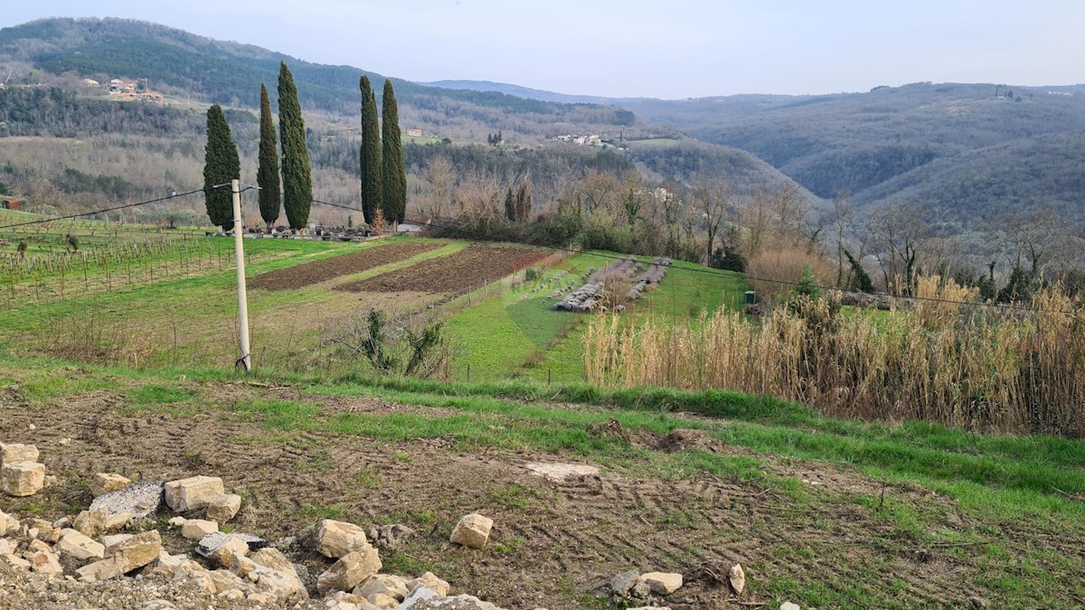 Terreno edificabile Motovun, 1.380m2