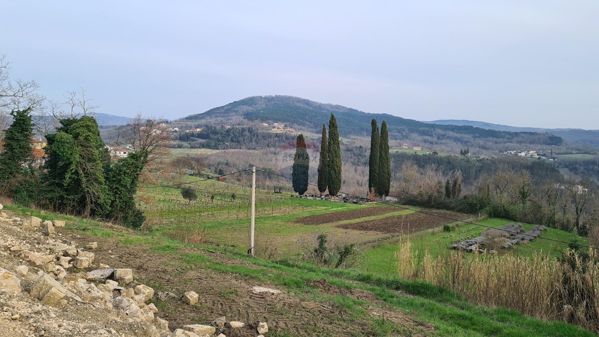 Terreno edificabile Motovun, 1.380m2