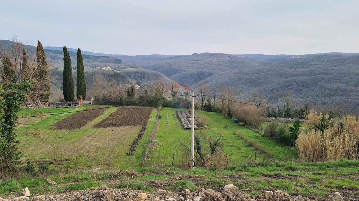 Terreno edificabile Motovun, 1.380m2