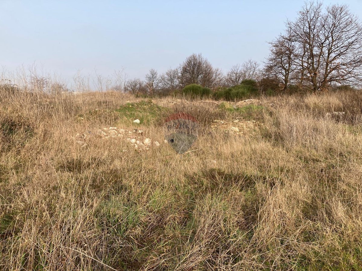 Terreno edificabile Buići, Poreč, 5.330m2