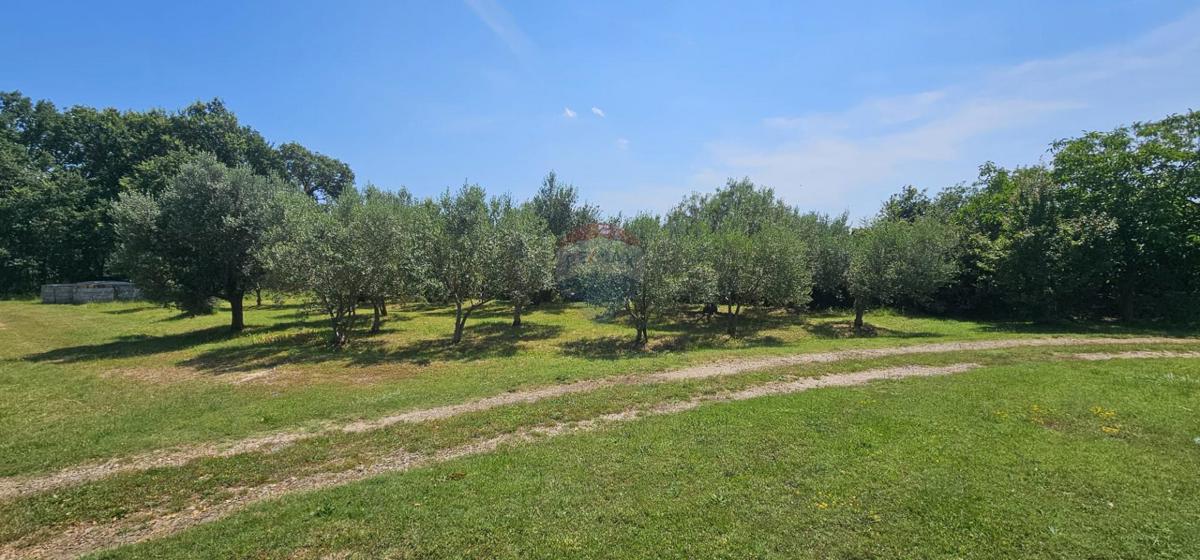 Istria, Išići – Terreno edificabile con vista mare, 1.071 m²