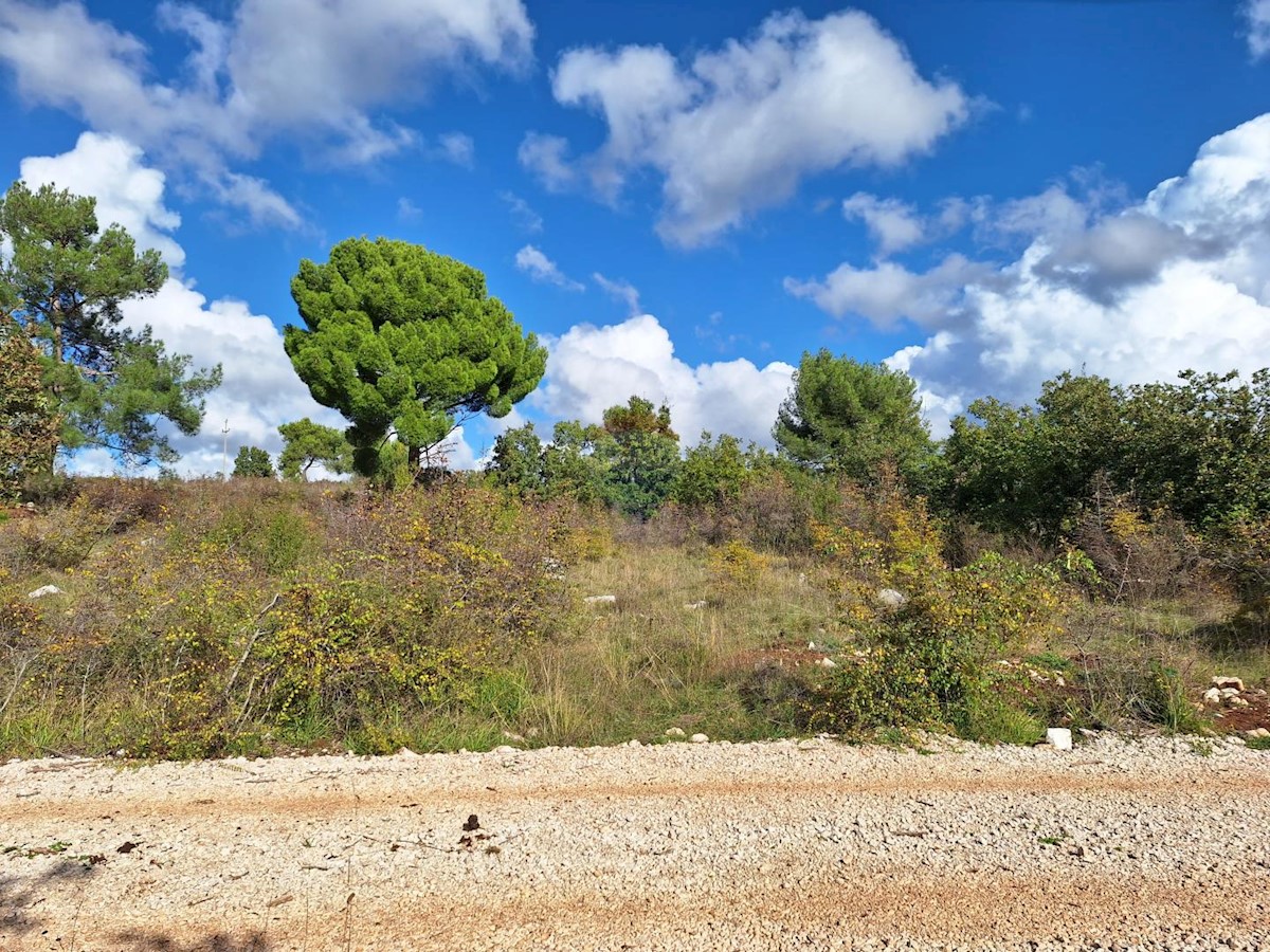 Terreno non edificabile Kontešići, Sveti Lovreč, 15.987m2