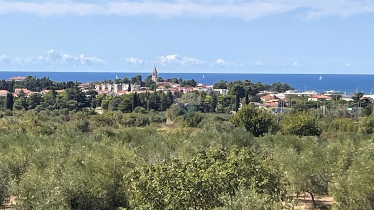 Istria, Novigrad, villa con piscina vicino al mare