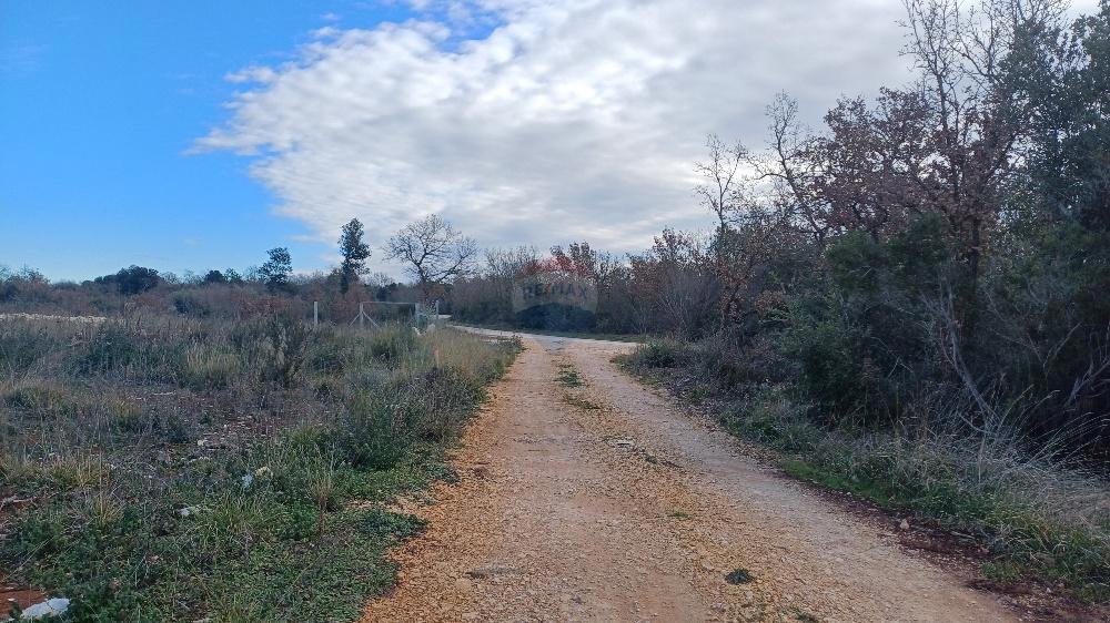 Terreno non edificabile Peroj, Vodnjan, 967m2