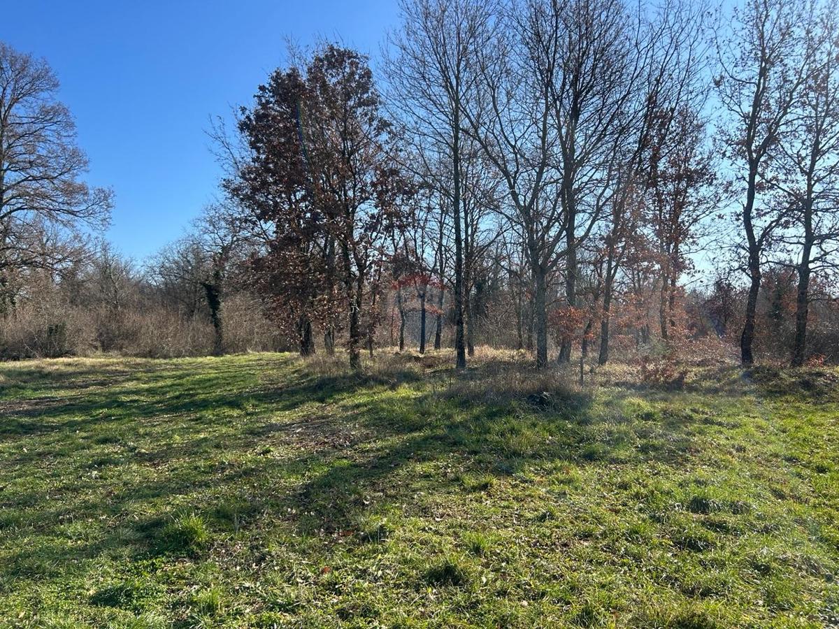 Terreno edificabile Šušnjići, Poreč, 20.636m2