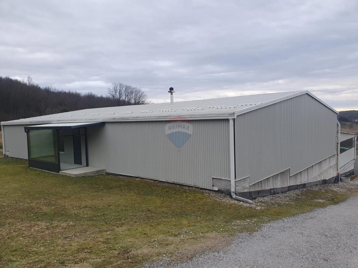 Gornji Dragonožec, Brezovica, 820m2