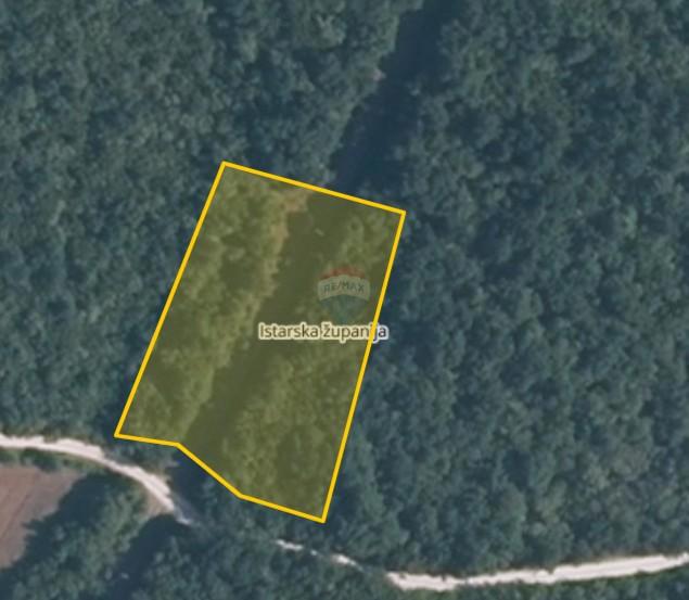 Terreno non edificabile Krunčići, Sveti Lovreč, 12.103m2