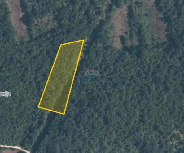 Terreno non edificabile Krunčići, Sveti Lovreč, 12.103m2