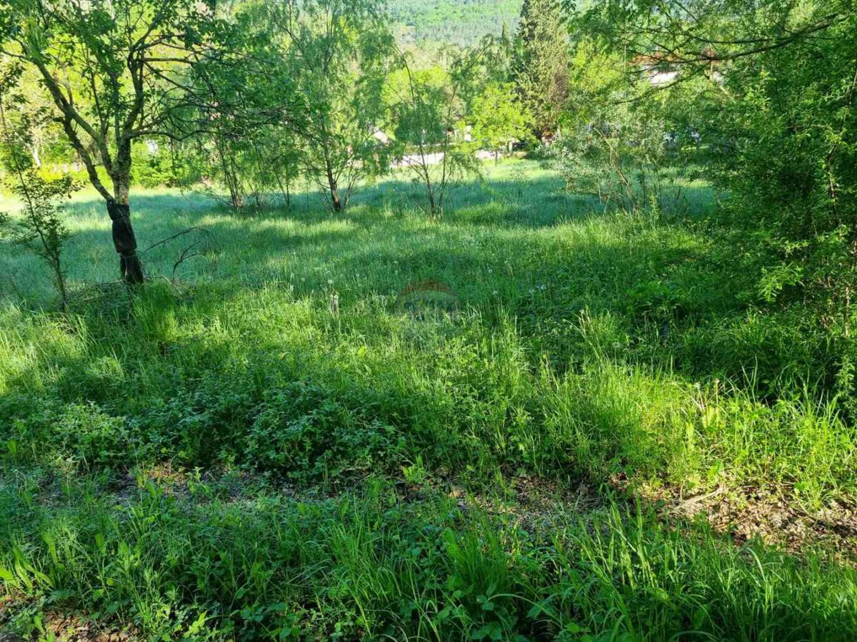 Terreno edificabile Buzet, 3.683m2