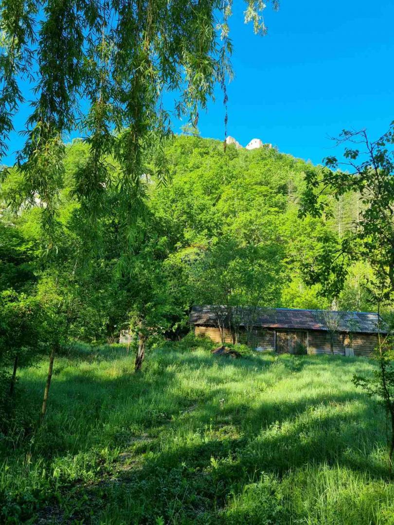 Terreno edificabile Buzet, 3.683m2