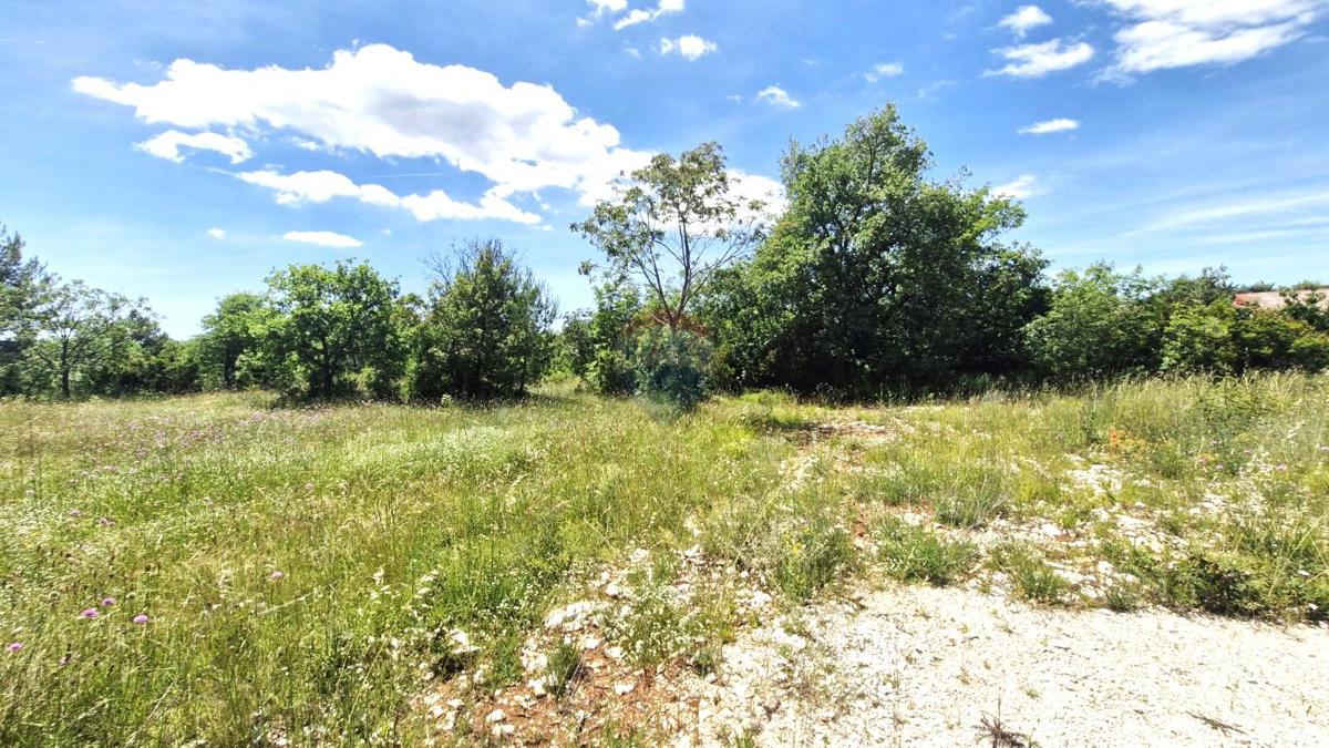 Terreno non edificabile Rakalj, Marčana, 5.296m2
