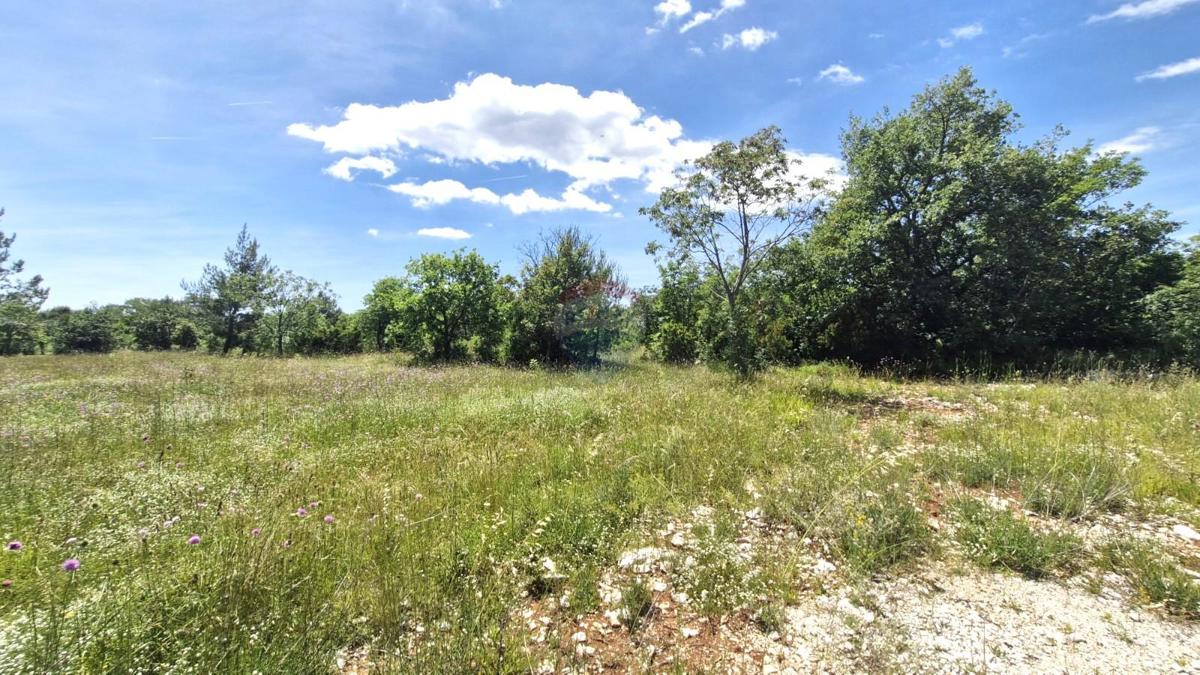Terreno non edificabile Rakalj, Marčana, 5.296m2