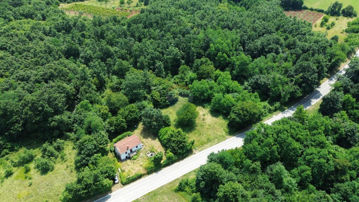 ISTRIA, ŽMINJ – Bella tenuta e terreno edificabile