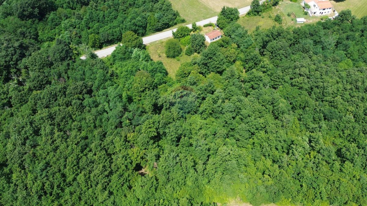 ISTRIA, ŽMINJ – Bella tenuta e terreno edificabile