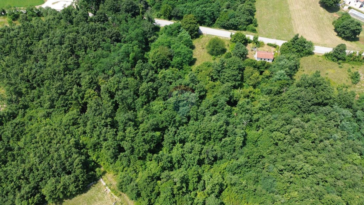 ISTRIA, ŽMINJ – Bella tenuta e terreno edificabile