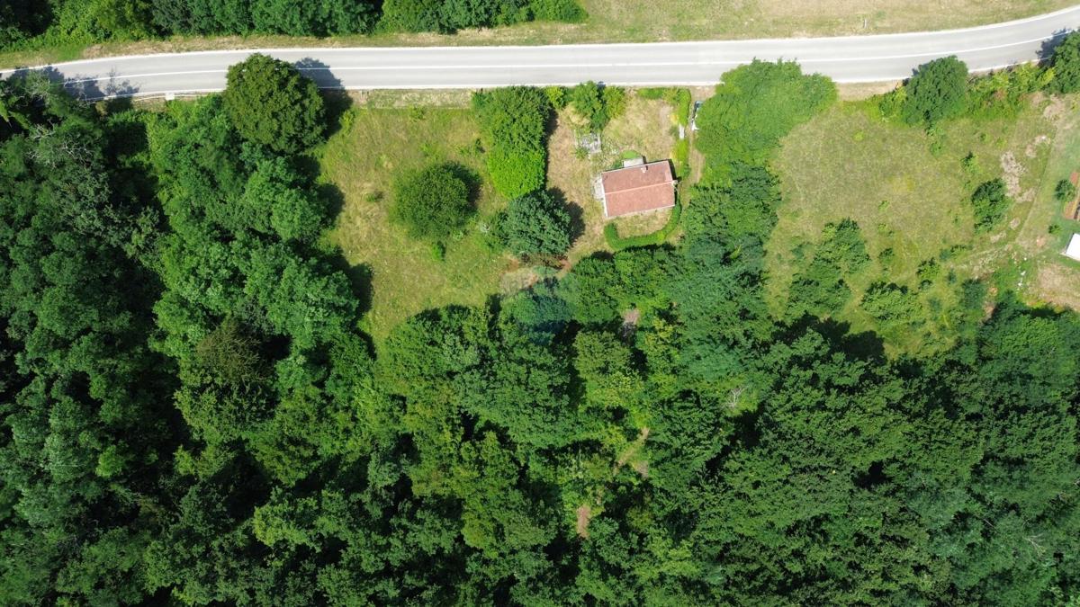 ISTRIA, ŽMINJ – Bella tenuta e terreno edificabile