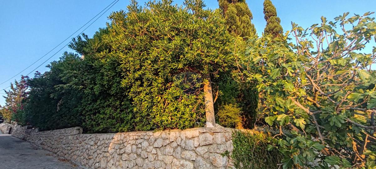 Casa Barbat na Rabu, Rab, 350m2