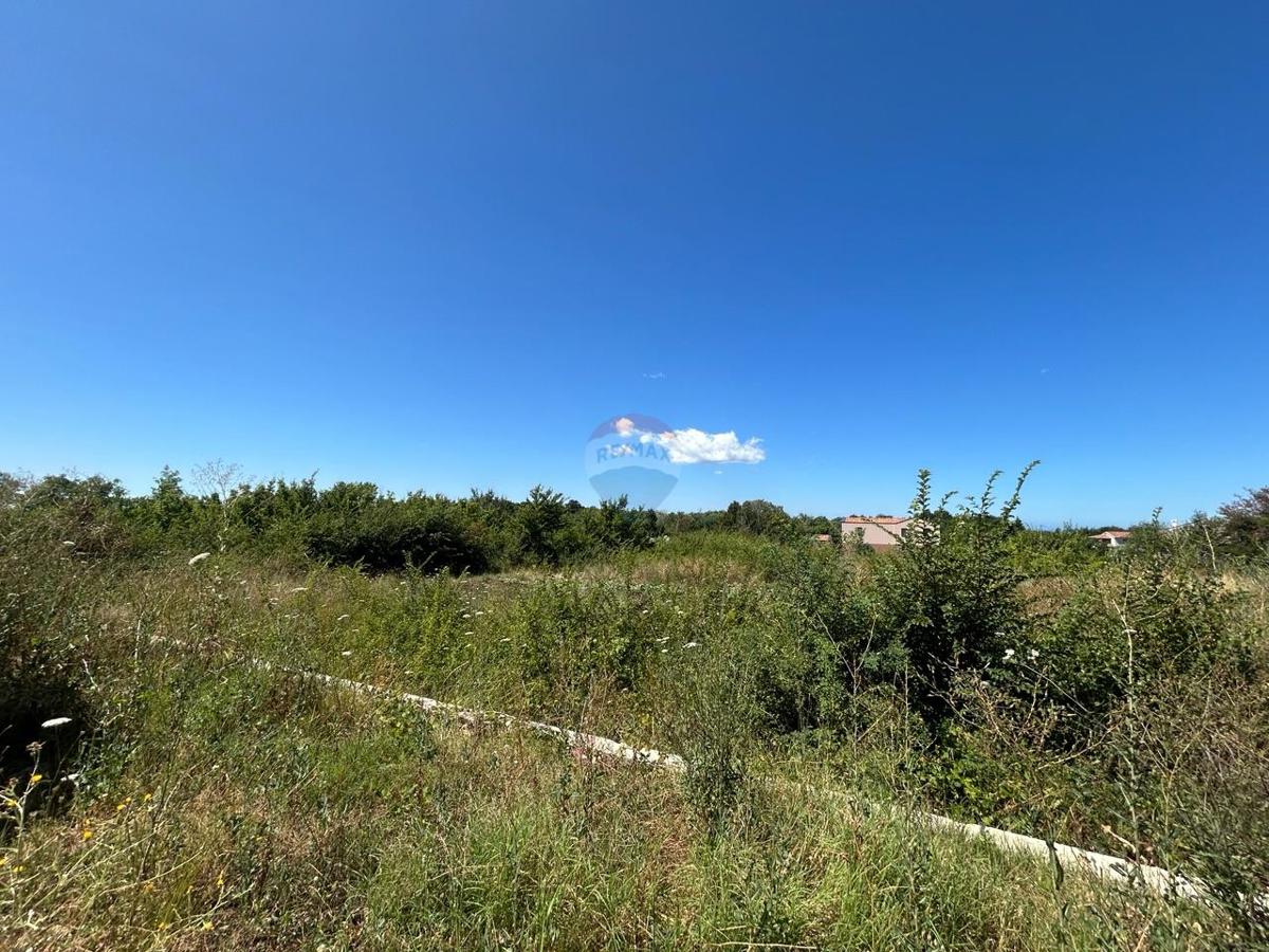 Terreno edificabile Višnjan, 981m2
