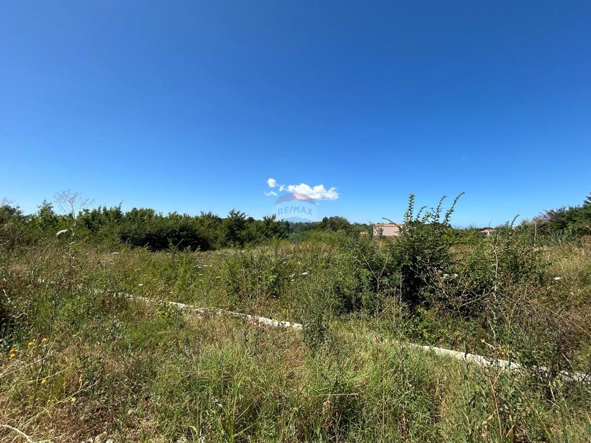 Terreno edificabile Višnjan, 981m2
