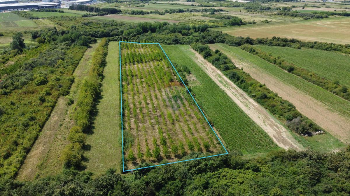 Terreno non edificabile Vukovina, Velika Gorica - Okolica, 13,94m2