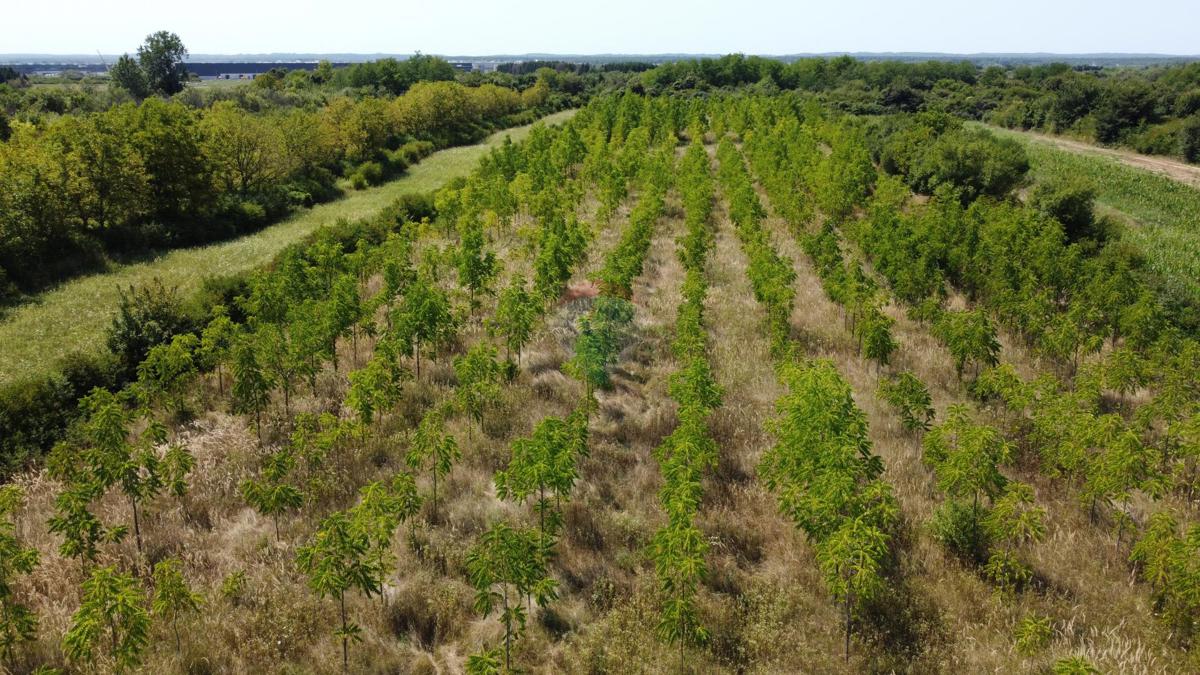 Terreno non edificabile Vukovina, Velika Gorica - Okolica, 13,94m2