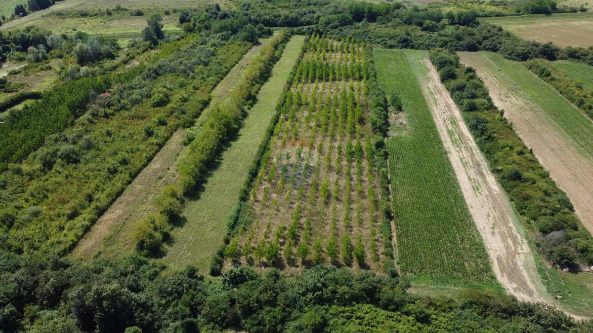 Terreno non edificabile Vukovina, Velika Gorica - Okolica, 13,94m2