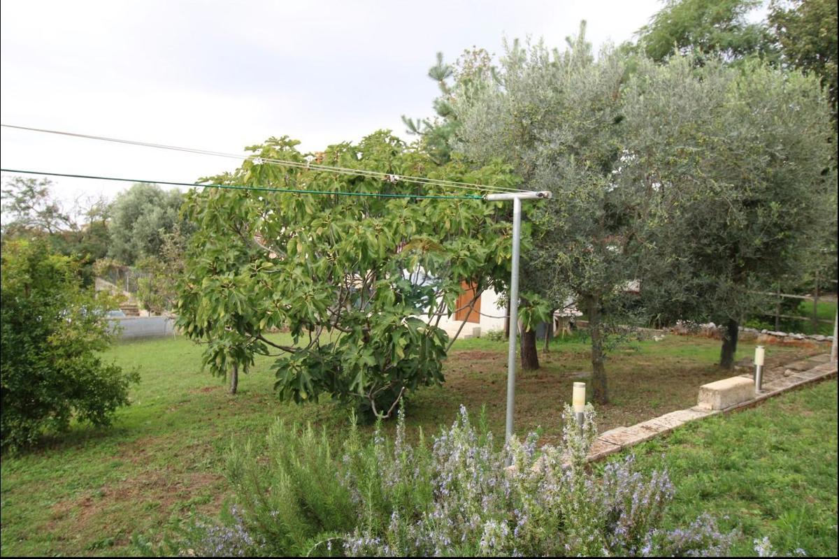 Casa Višnjan, 140m2