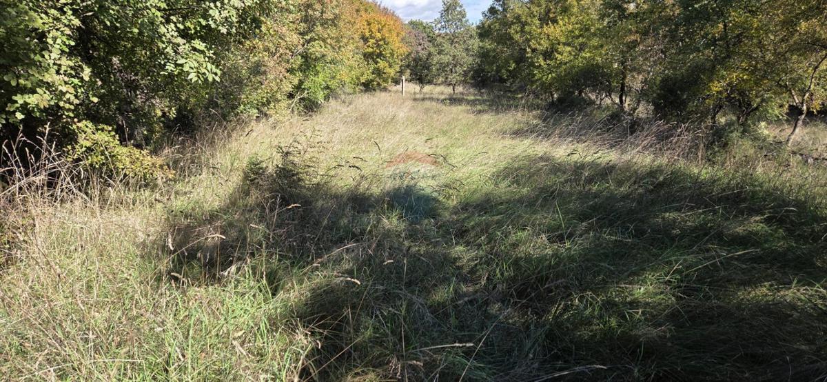 Terreno edificabile Vrbnik, 2.849m2