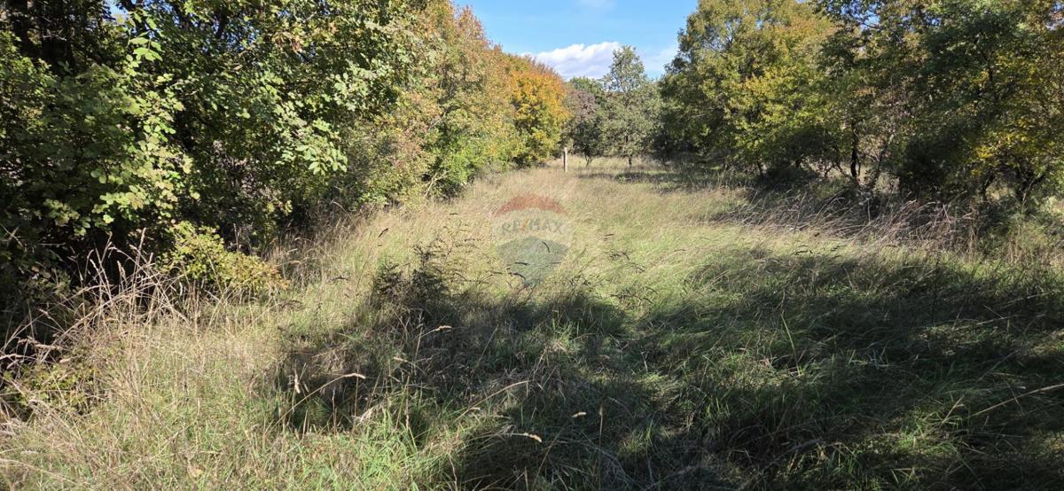 Terreno edificabile Vrbnik, 2.849m2