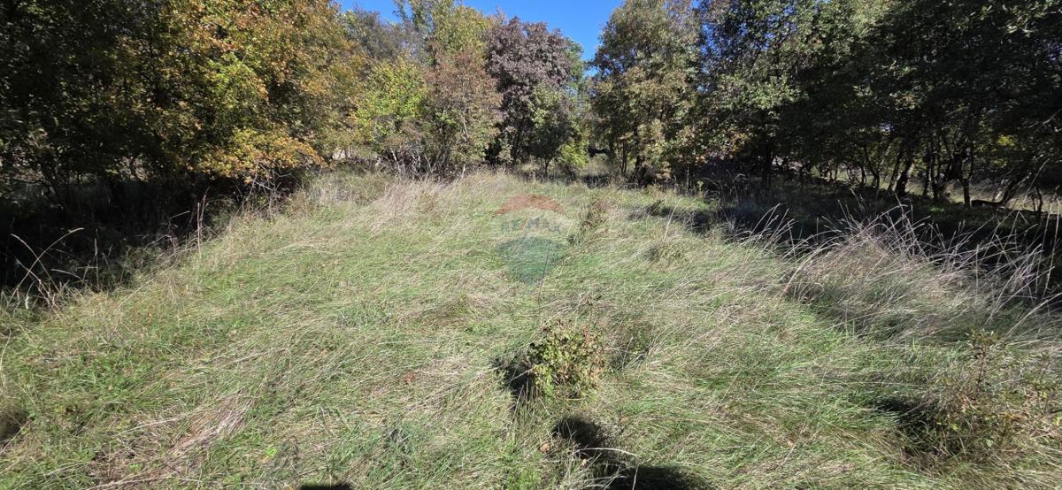 Terreno edificabile Vrbnik, 2.849m2