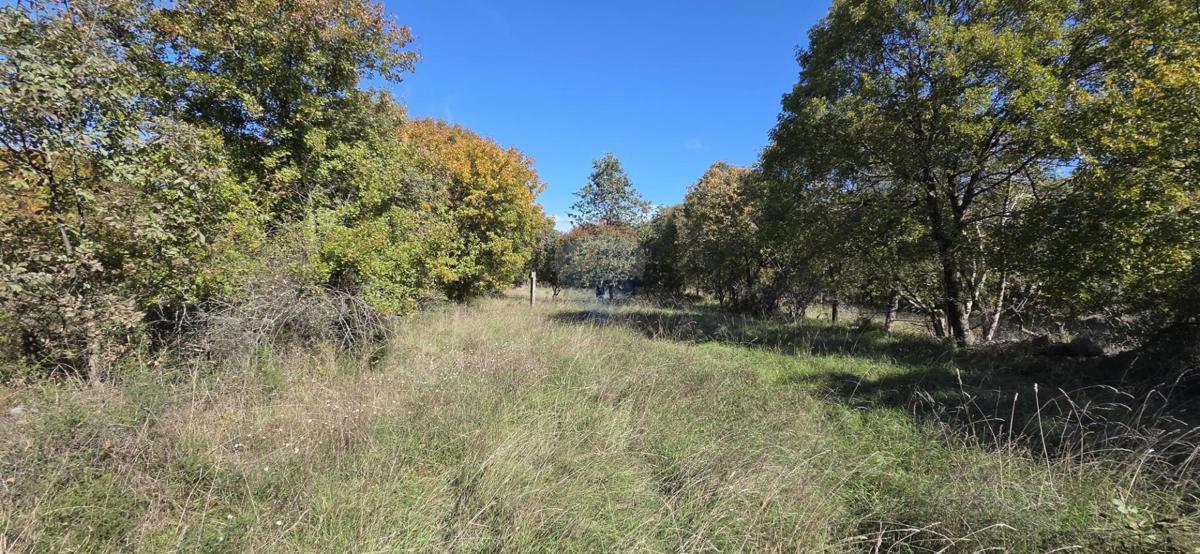 Terreno edificabile Vrbnik, 2.849m2