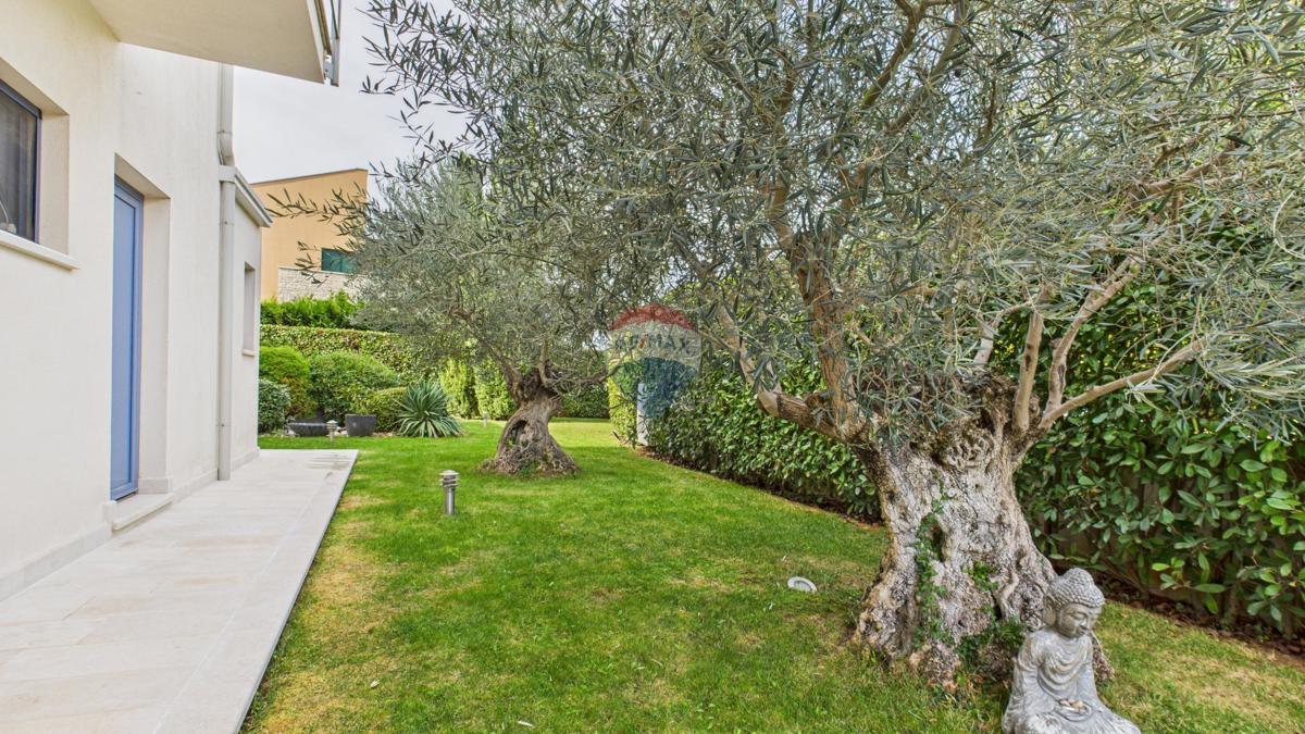 Casa moderna di lusso con piscina e jacuzzi su ampio terreno