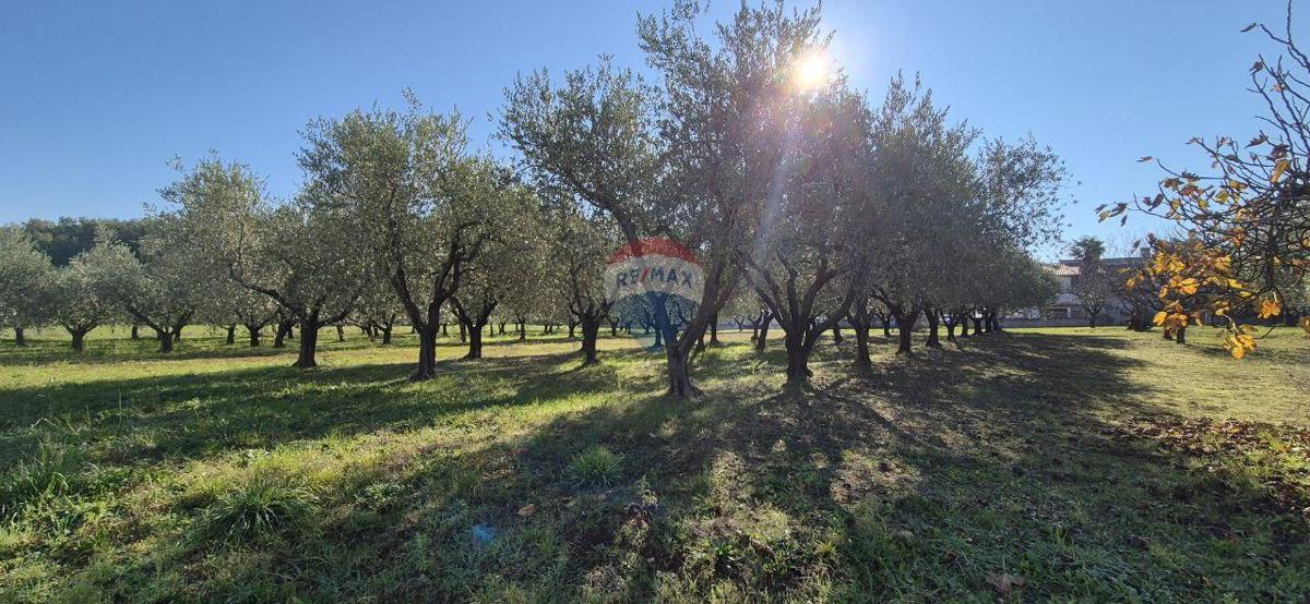 Terreno edificabile Poreč, 1.801m2