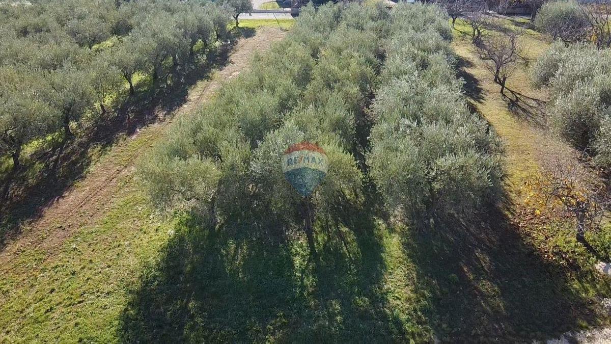 Terreno edificabile Poreč, 1.801m2