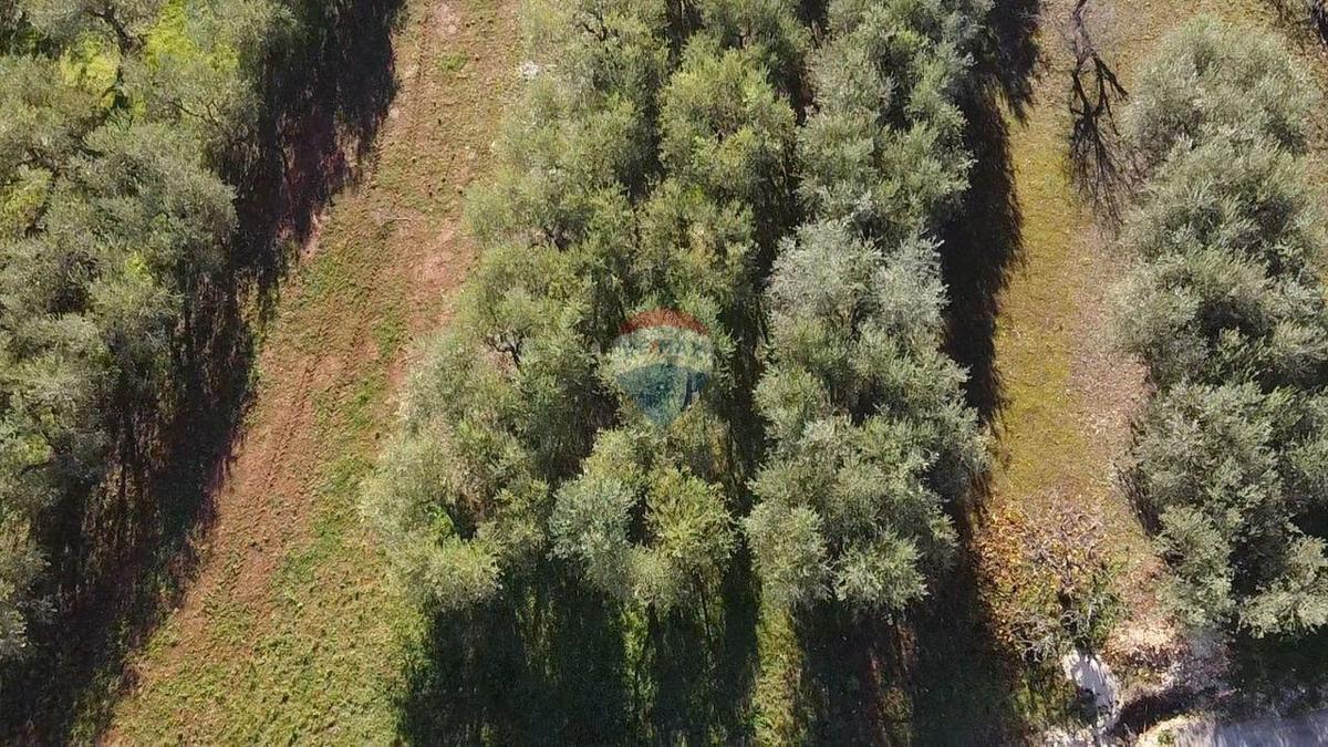 Terreno edificabile Poreč, 1.801m2