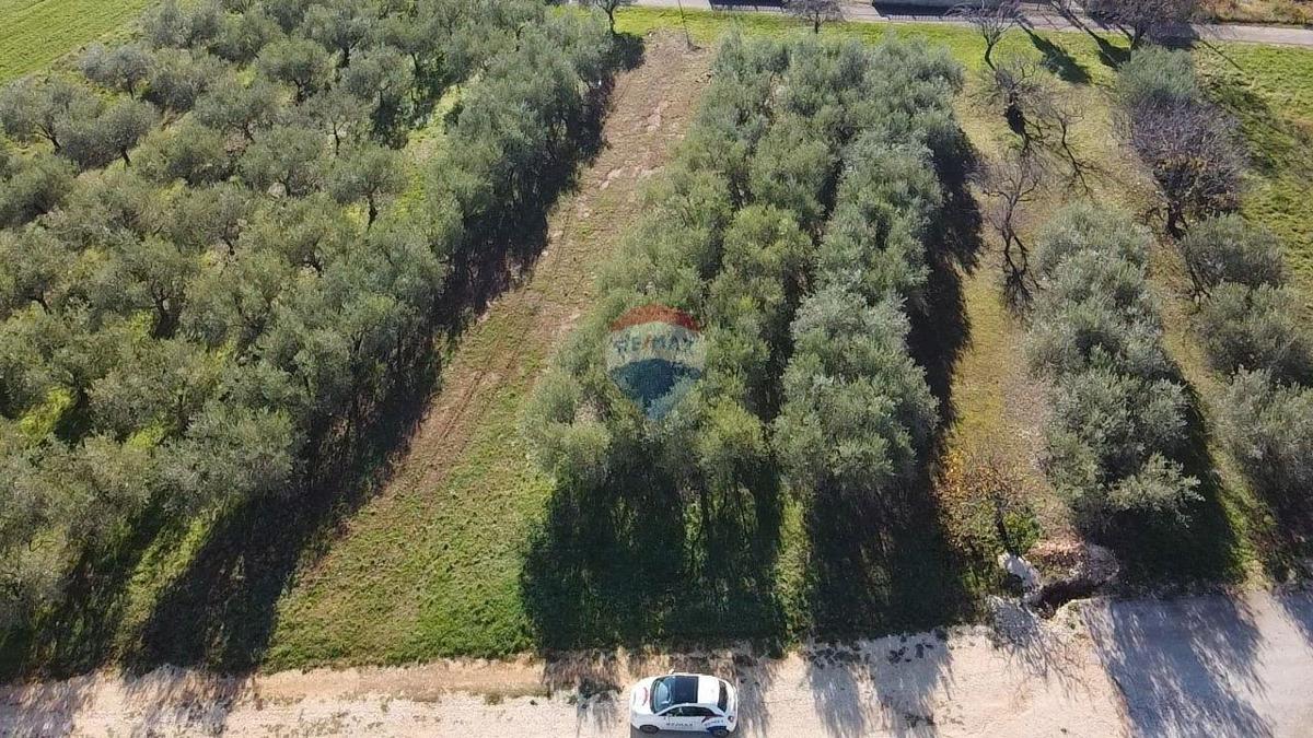 Terreno edificabile Poreč, 1.801m2