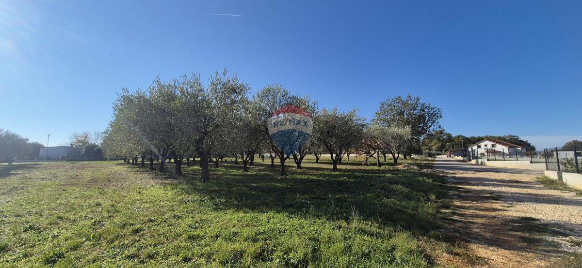 Terreno edificabile Poreč, 1.801m2