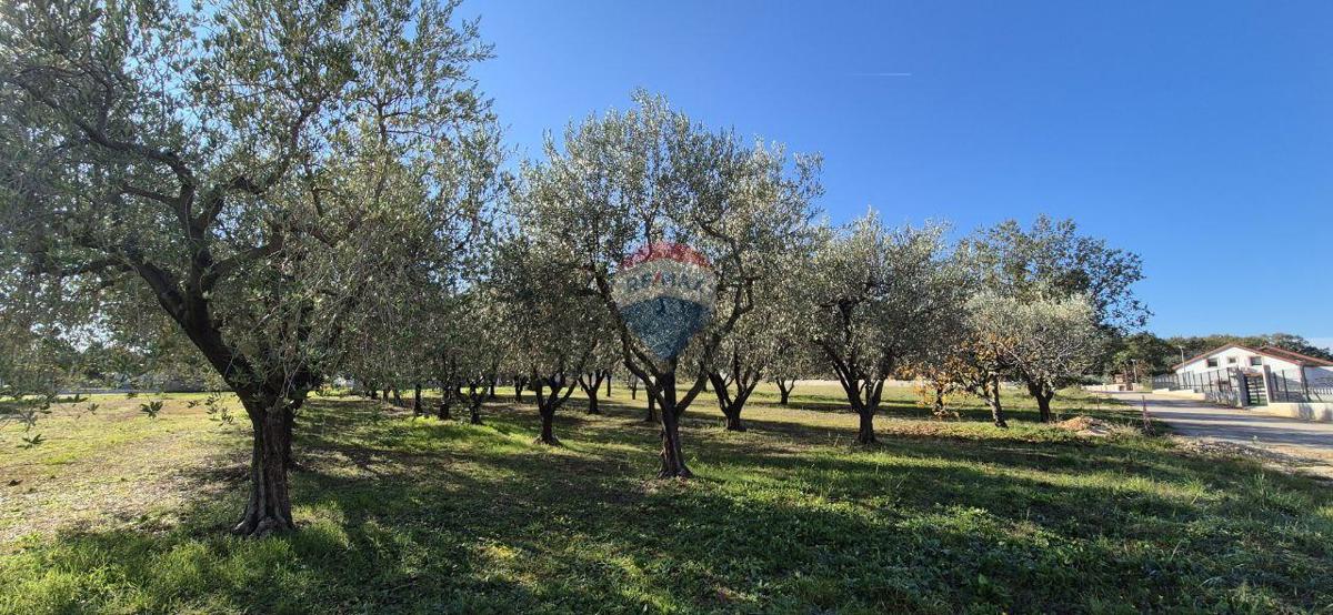 Terreno edificabile Poreč, 1.801m2