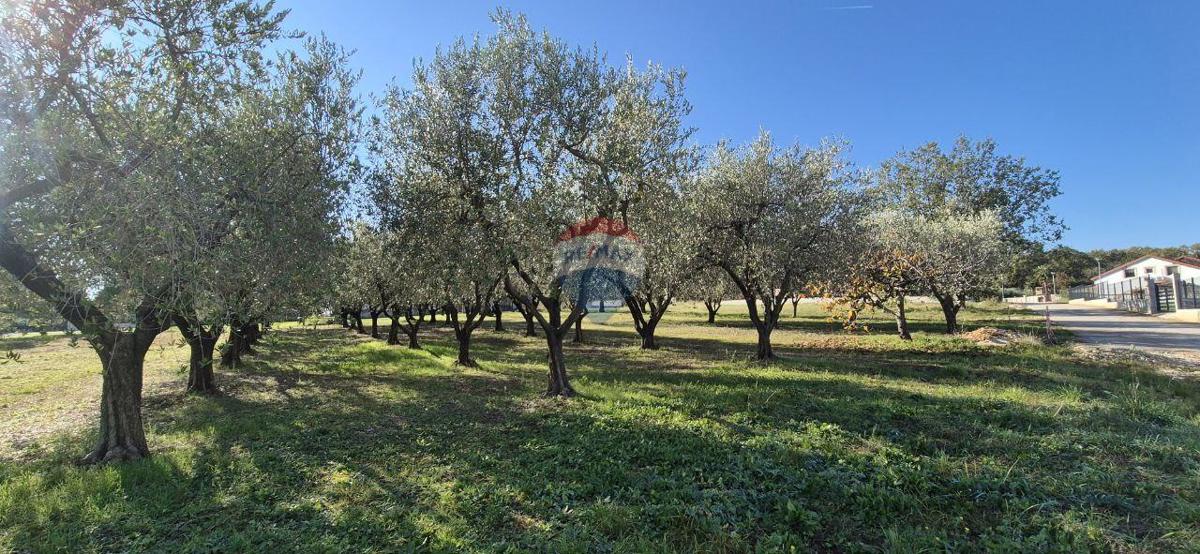 Terreno edificabile Poreč, 1.801m2