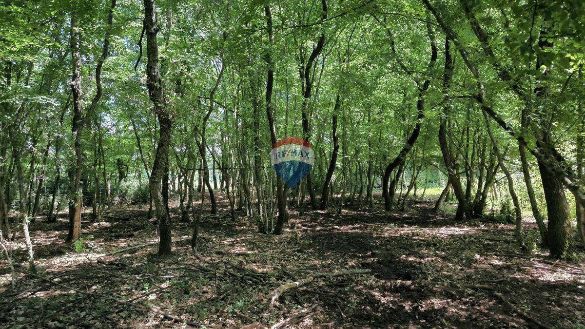 Terreno non edificabile Kaštelir, Kaštelir-Labinci, 2.418m2