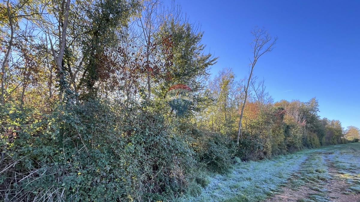 Terreno non edificabile Kaštelir, Kaštelir-Labinci, 2.418m2