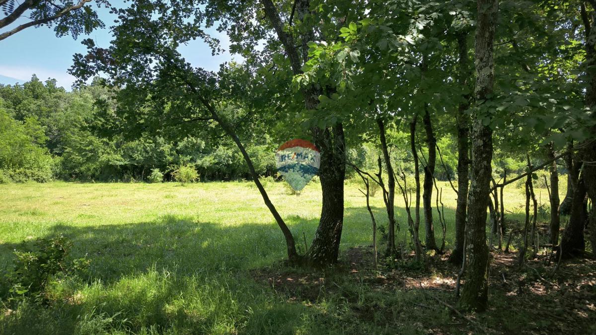 Terreno non edificabile Kaštelir, Kaštelir-Labinci, 2.418m2