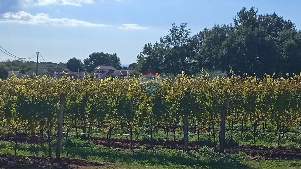 Terreno edificabile Baldaši, Vižinada, 1.125m2