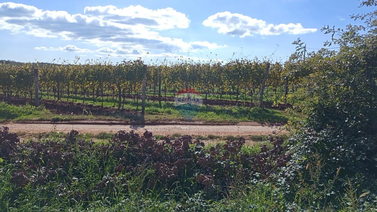 Terreno edificabile Baldaši, Vižinada, 1.125m2