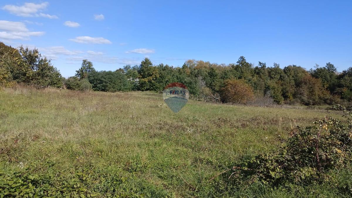 Terreno edificabile Baldaši, Vižinada, 1.125m2