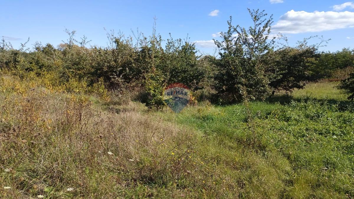 Terreno edificabile Baldaši, Vižinada, 1.125m2