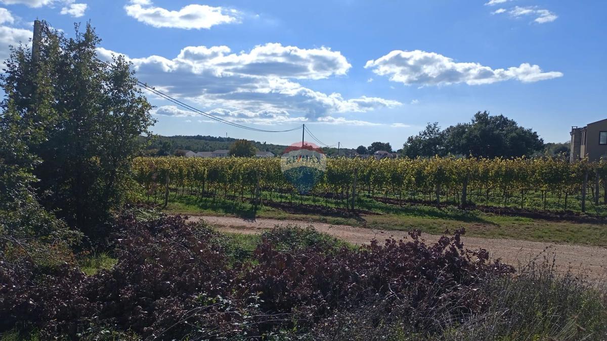 Terreno edificabile Baldaši, Vižinada, 1.125m2