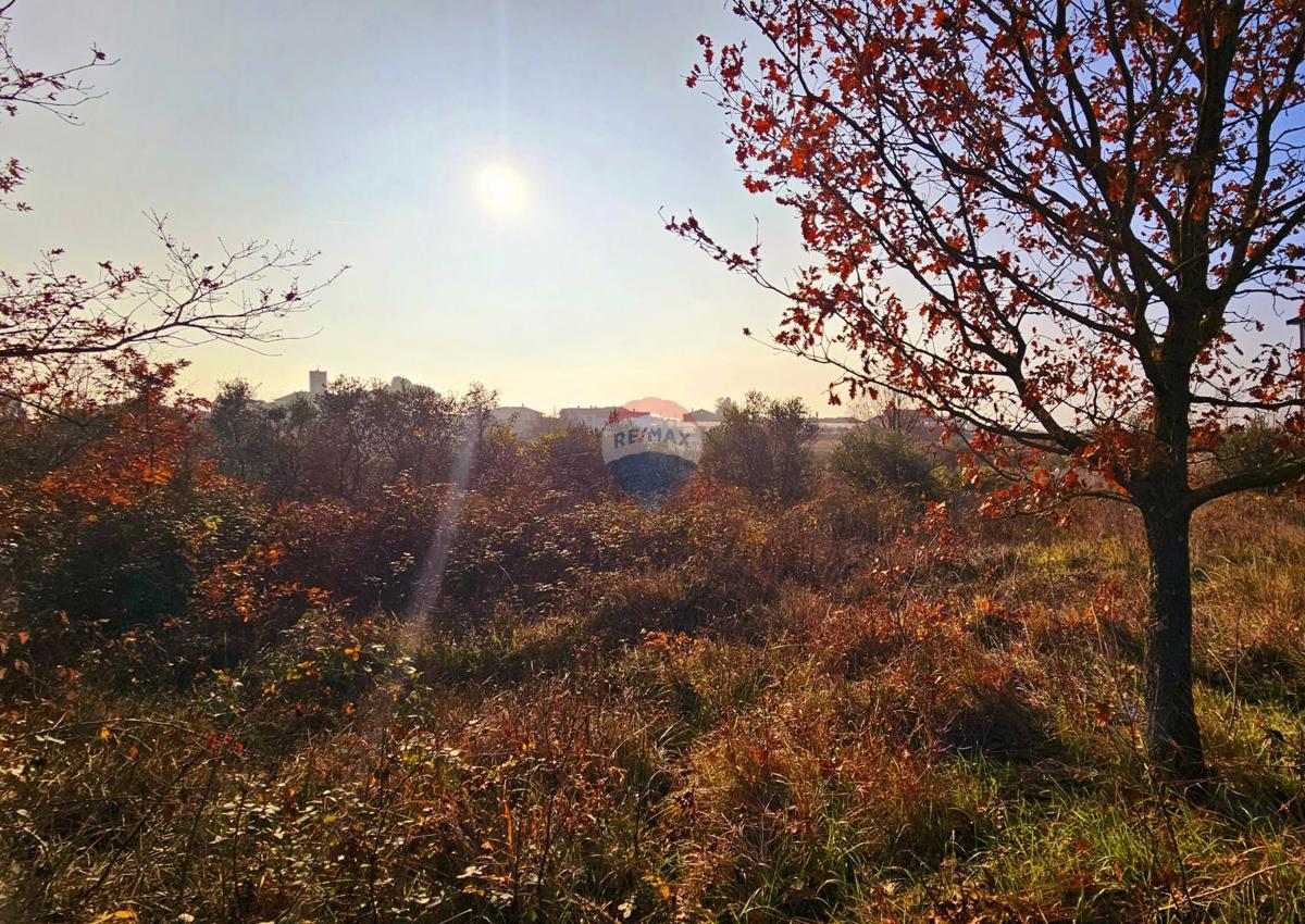 Terreno edificabile Brtonigla, 900m2